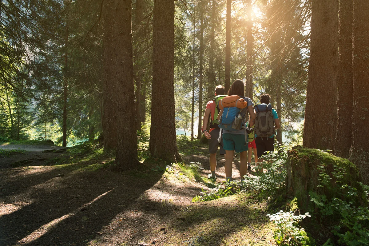 Escursionisti su sentiero nel bosco